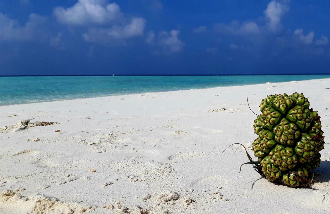 Masfalhi View Inn Felidhu-Atoll Exterior foto